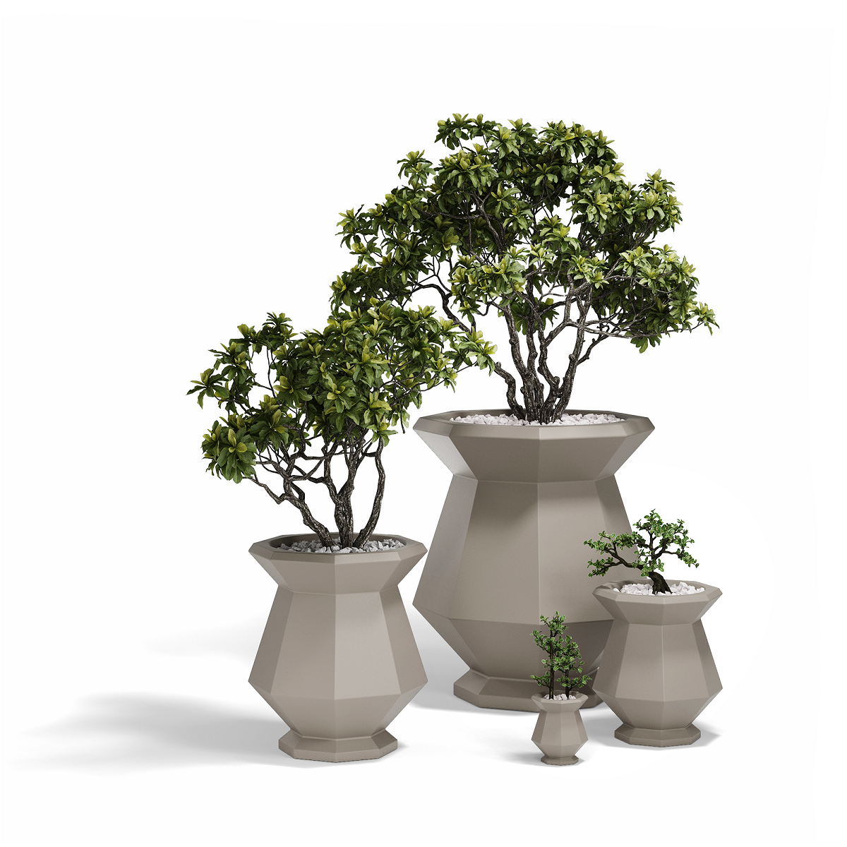 Origami Kashi 21,8X21,8X25