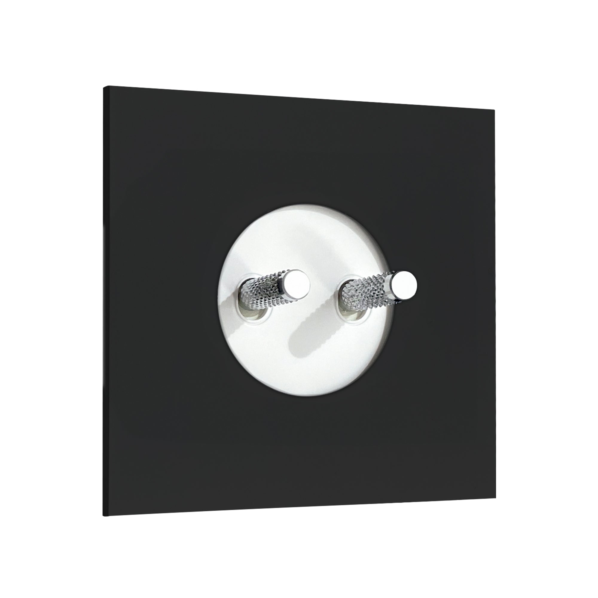 Double Toggle Switch Twenty