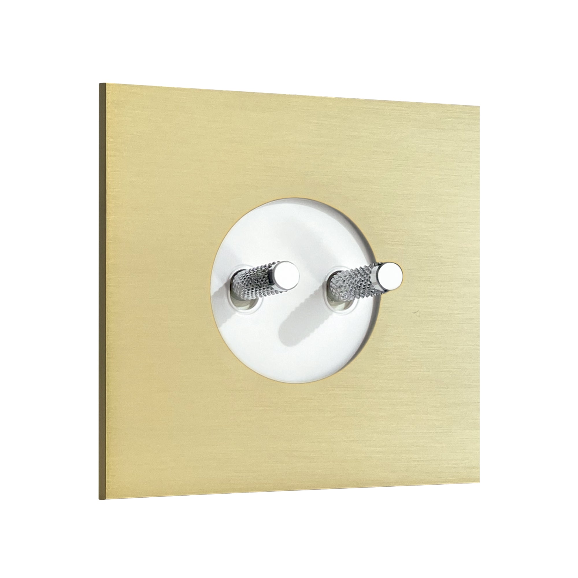Double Toggle Switch Twenty