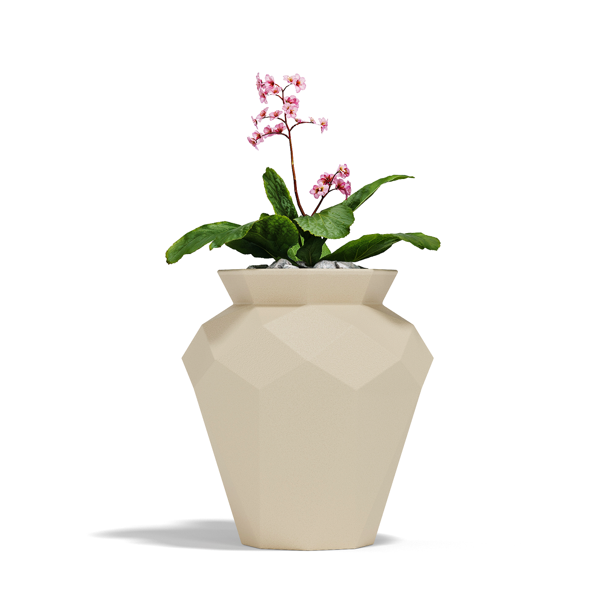 Origami Hanami 61X61X80