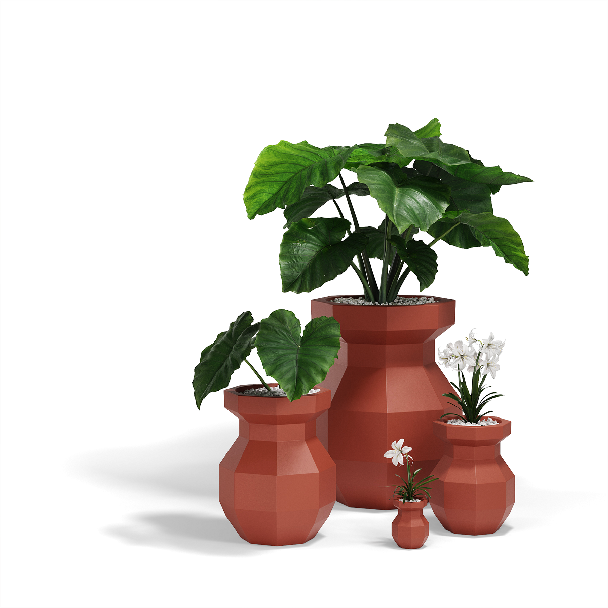 Origami Yuri 20X20X25